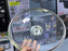 Laser Coating Shallow Casseroles Honeycomb pattern And Non Stick
