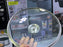 Laser Coating Shallow Casseroles Honeycomb pattern And Non Stick