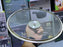 Laser Coating Shallow Type Casserole Handi- Shape Stainless Steel