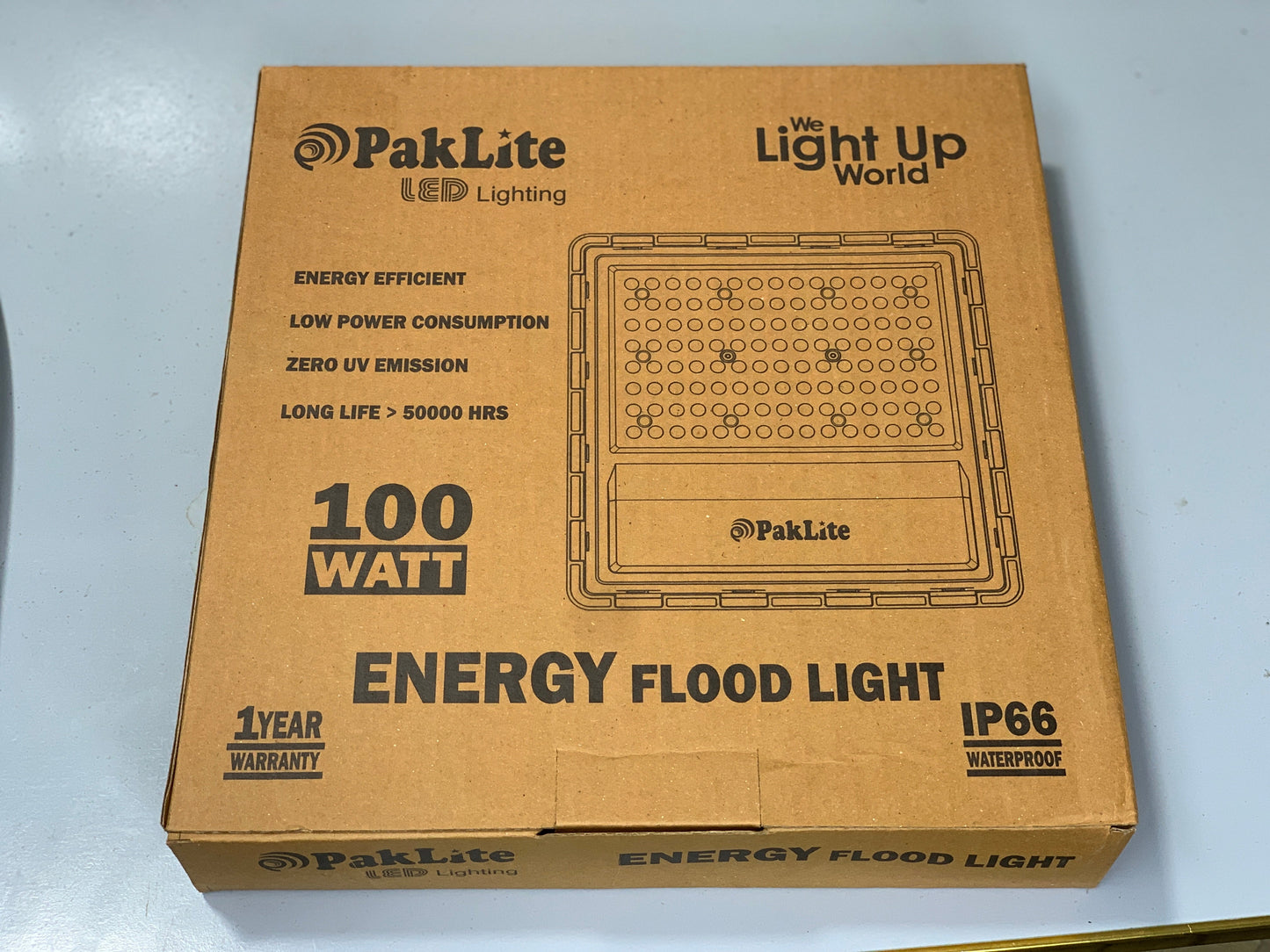 LED IP66 Electric Emergency Flood Light 50W and 100W