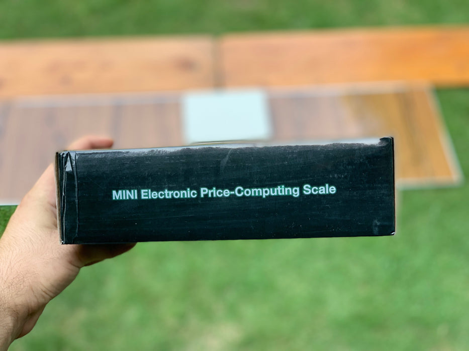 Mini Electronic Price Computing Digital Scale